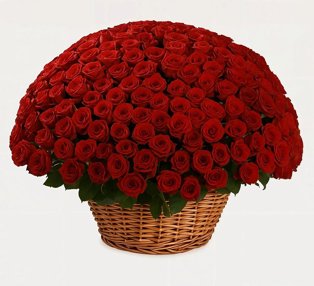 Премиум букет из: Розы в Курумкане