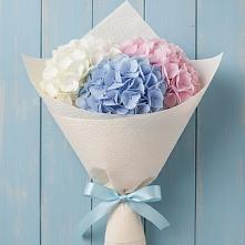 Букет цветов из:  Гортензия в Курумкане