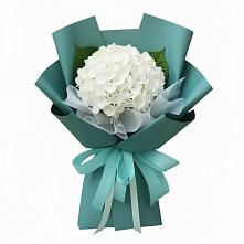 Букет цветов из:  Гортензия #REPLACE_PRED# Курумкане
